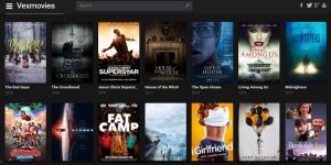 Movie Streaming Sites