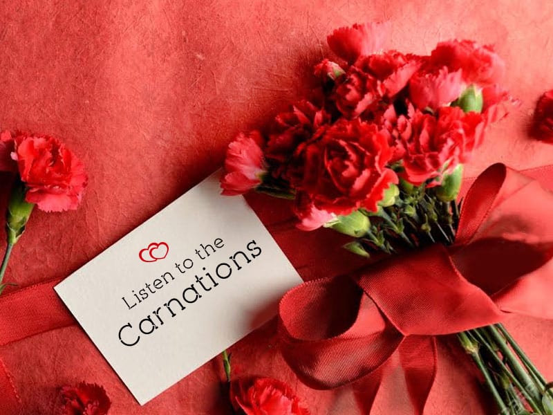 Carnations and Roses