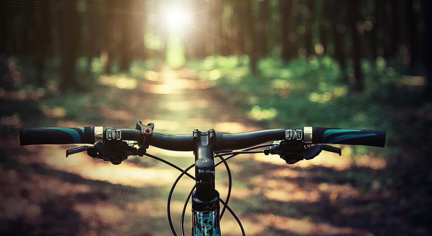 The Best Biking Trails Along the Coast of Maine