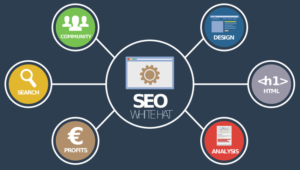 SEO Agency can Help a Business Get Orders