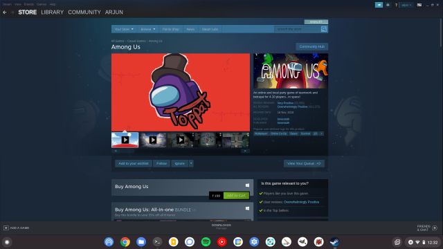 Steam Games on a Chromebook