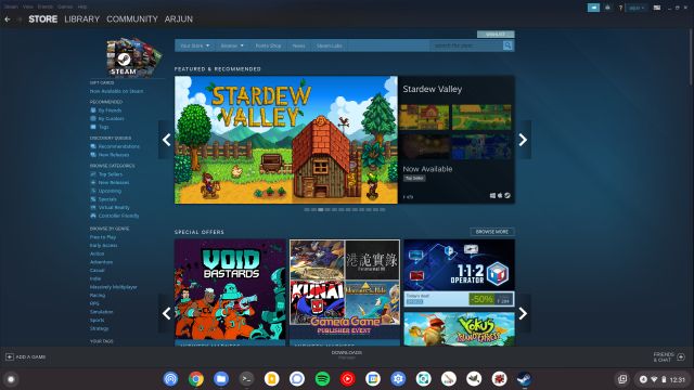 Steam Games on a Chromebook