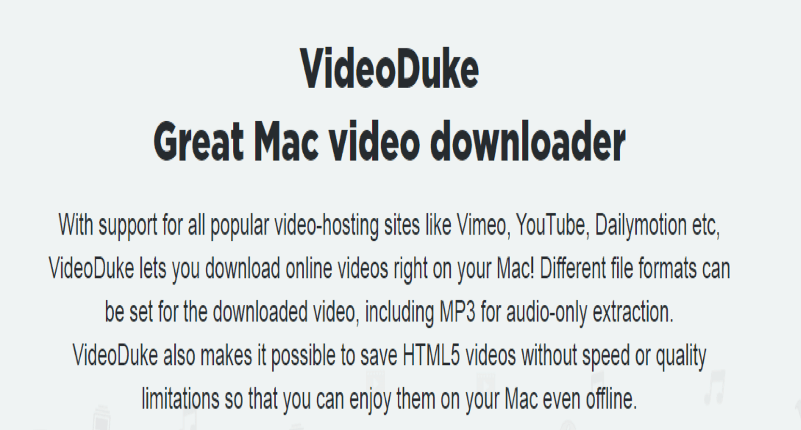 VideoDuke Review