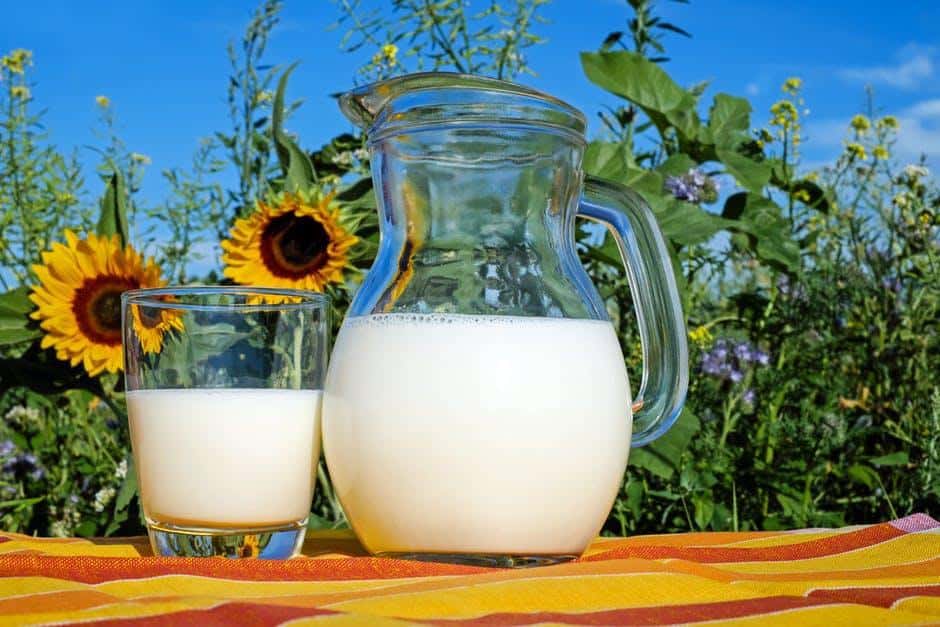 Camel Milk Is the New Low Allergen Alternative