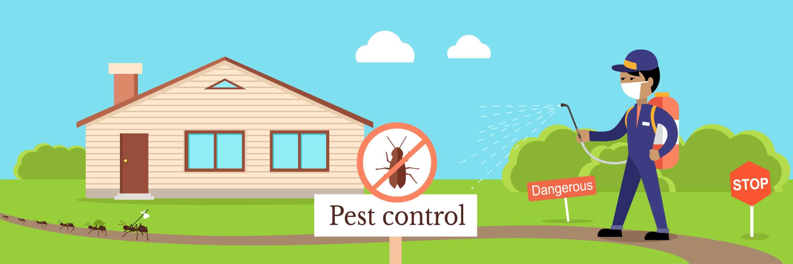 Top 6 Reasons you should hire Pest Control Services