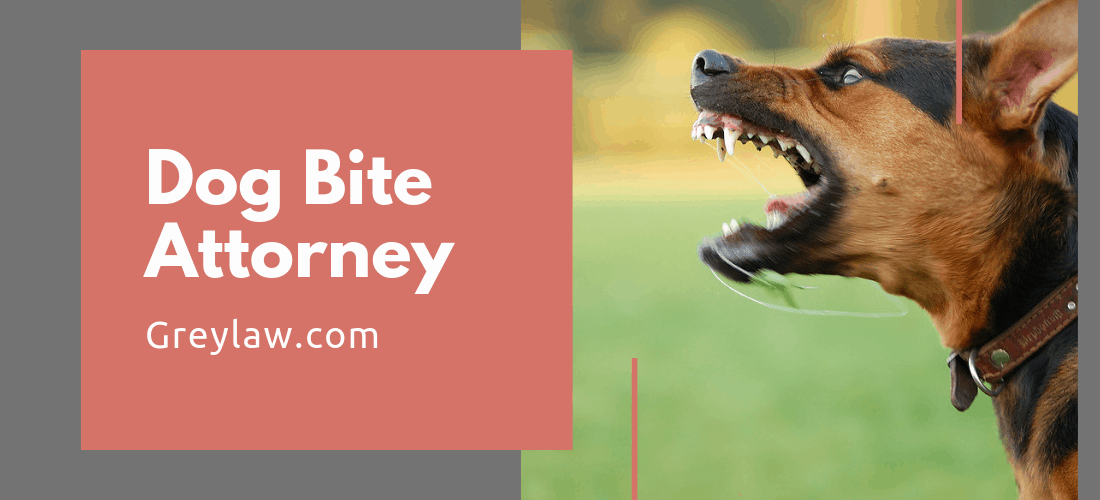 Filing An Insurance Claim With The Of A Dog Bite Lawyer: Is It Necessary