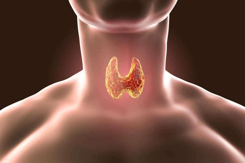 4 Signs of an Overactive Thyroid