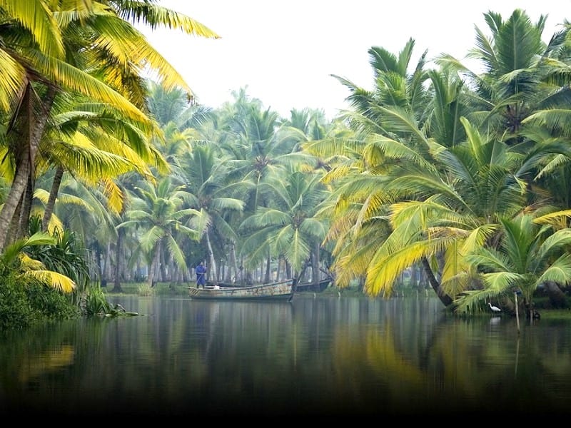 9 Top Things To Do When In Alleppey During The Tour