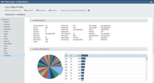 SAS Data Management