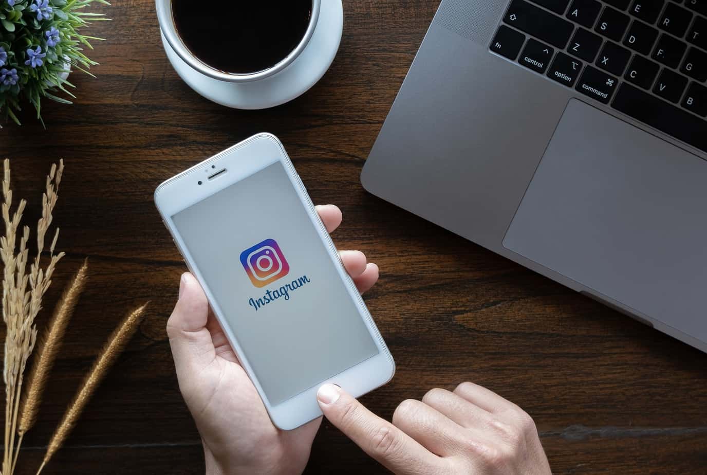 5 Must-Try Tips For Growing Your Instagram Presence