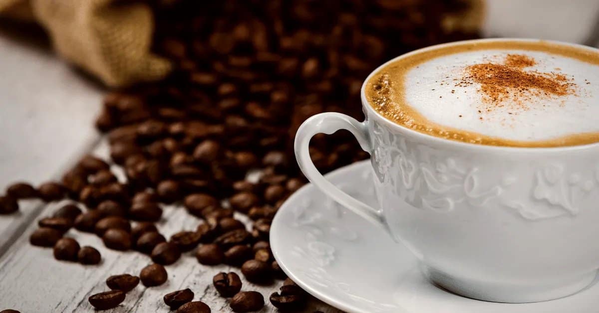 Delight Your Taste Buds with the Varieties of Regular Coffee and Cappuccino - Convergent Coffee