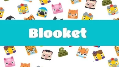 Blooket Cheats